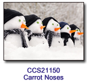 Carrot Noses Charity Select Holiday Card